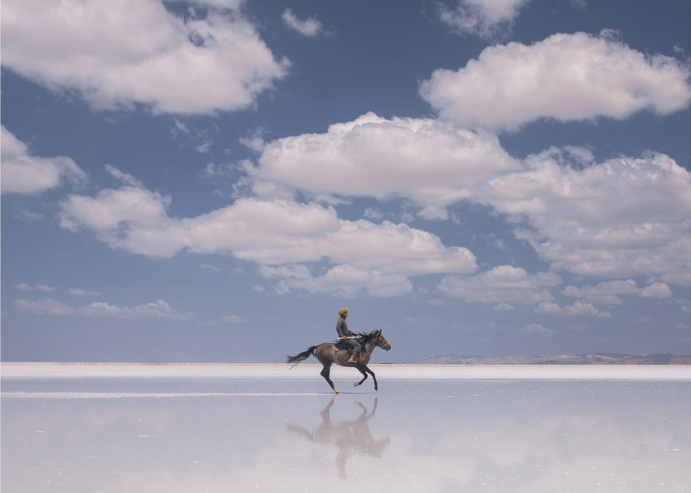 Salty Rider | Lærredsbilleder
