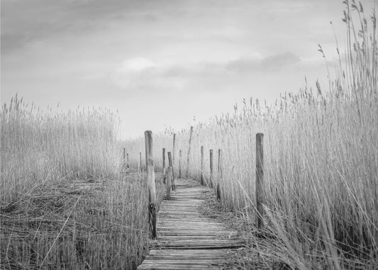 Il ponte di assi | Carta da Parati Fotografica