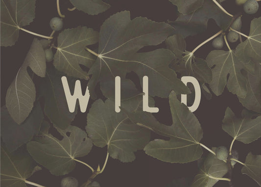 Vild nr 1 | Fototapet