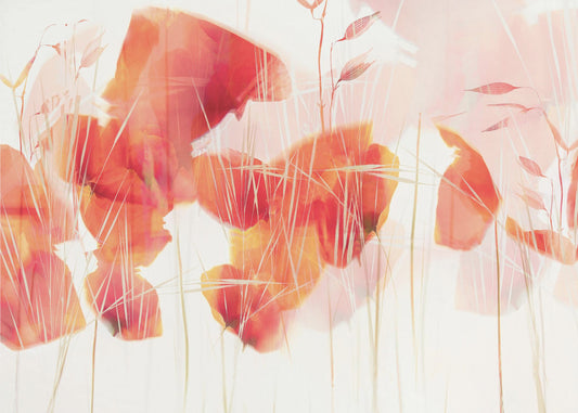 Coquelicots modernes | Papier Peint Photo