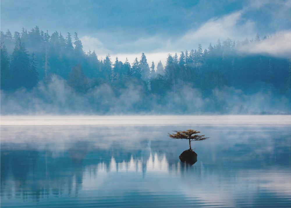 Matin brumeux | Papier Peint Photo