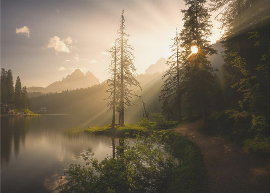 Morgenlys | Fototapeter