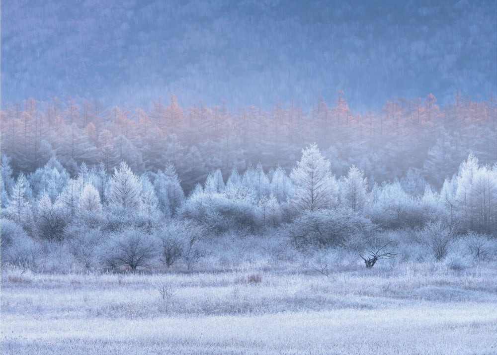 Dégradés d'automne et d'hiver | Papier Peint Photo