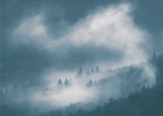 nebbia | Carta da Parati Fotografica