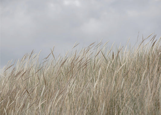 Dune e nuvole | Carta da Parati Fotografica