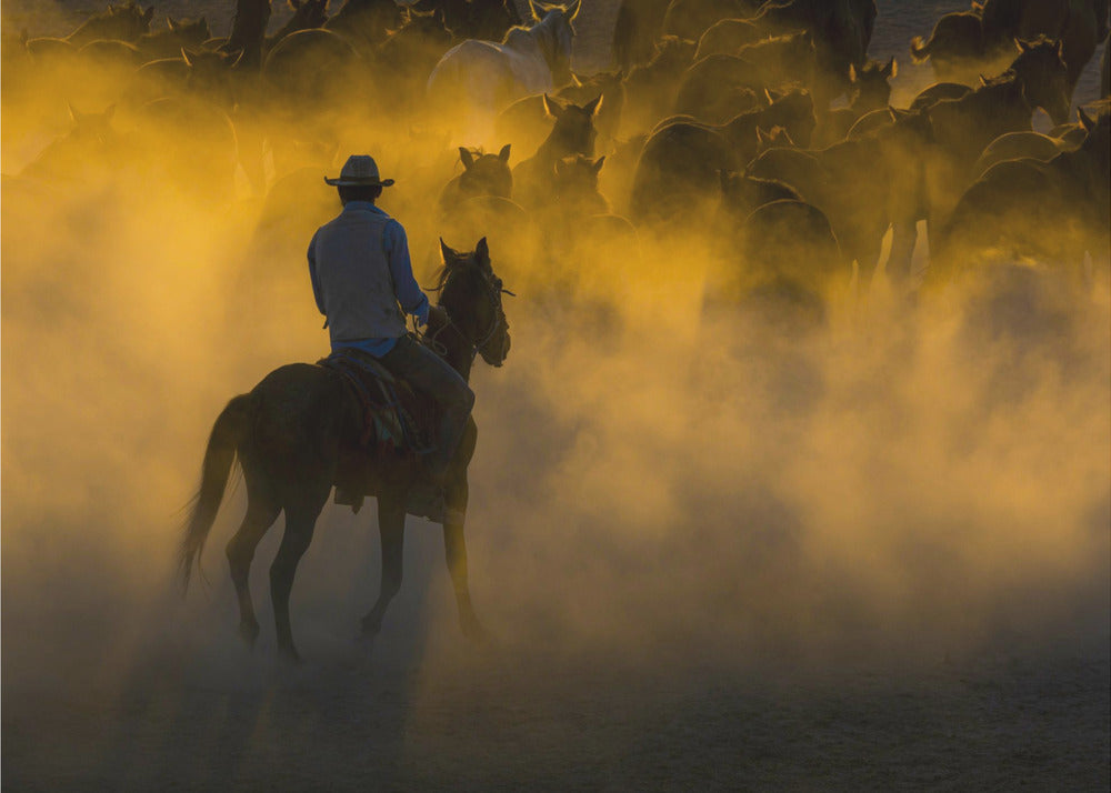 cowboy och hästar | Canvas