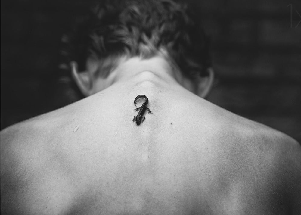 Tattoo möchte sein | Leinwand-Bilder