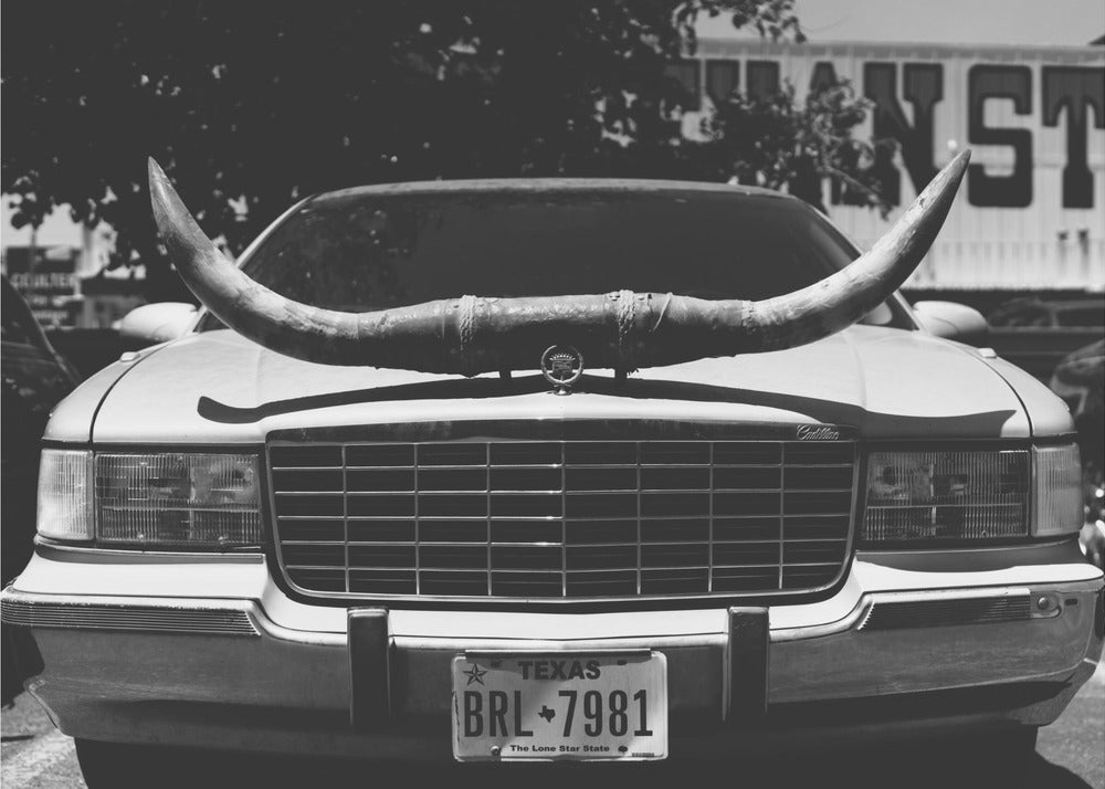 Texasin ratsastus | Canvastaulut