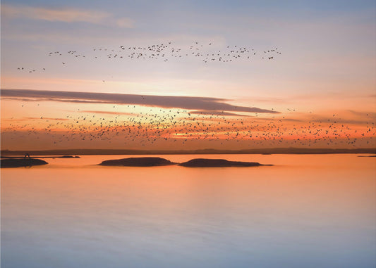 al tramonto | Carta da Parati Fotografica