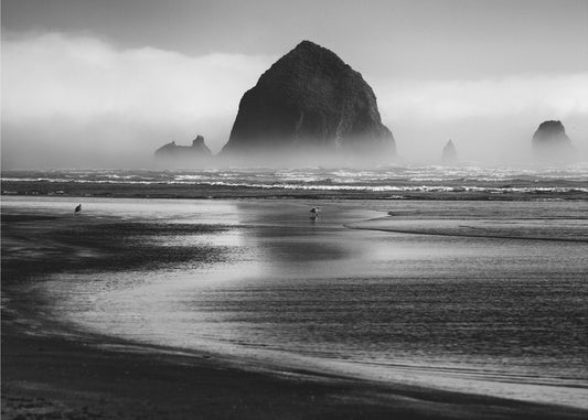 Spiaggia di Cannon | Poster - Stampe d’Arte