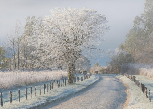 Ein frostiger Morgen | Fototapeten