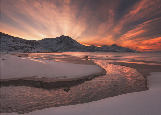 Gylden solnedgang | Fototapeter