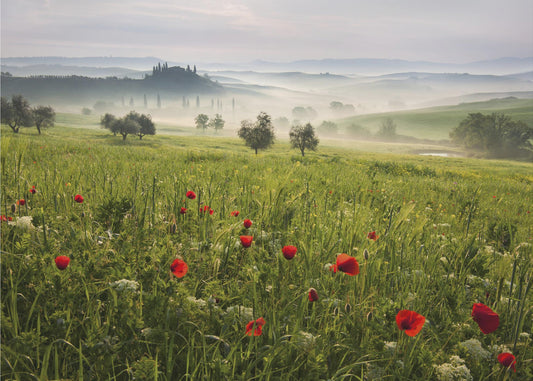 Primavera toscana | Carta da Parati Fotografica