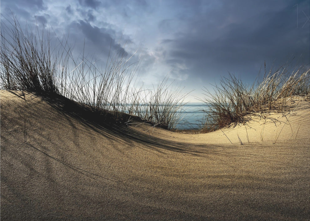 Dünen........... | Fototapeten