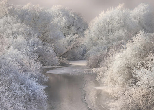 Chanson d'hiver | Papier Peint Photo