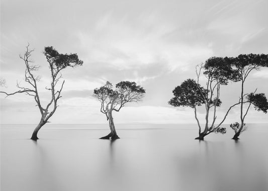 Se noyer sans faire signe | Papier Peint Photo