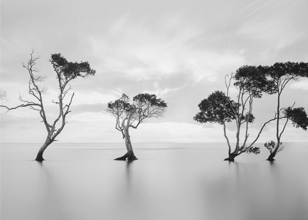 Se noyer sans faire signe | Papier Peint Photo