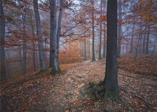 Ich war verloren, ich wurde gefunden | Fototapeten