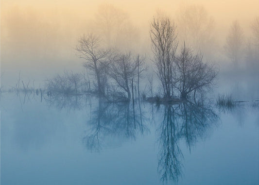 Morgenrefleksion | Plakater - Kunsttryk