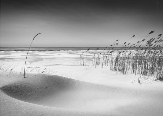 Orchestre | Papier Peint Photo