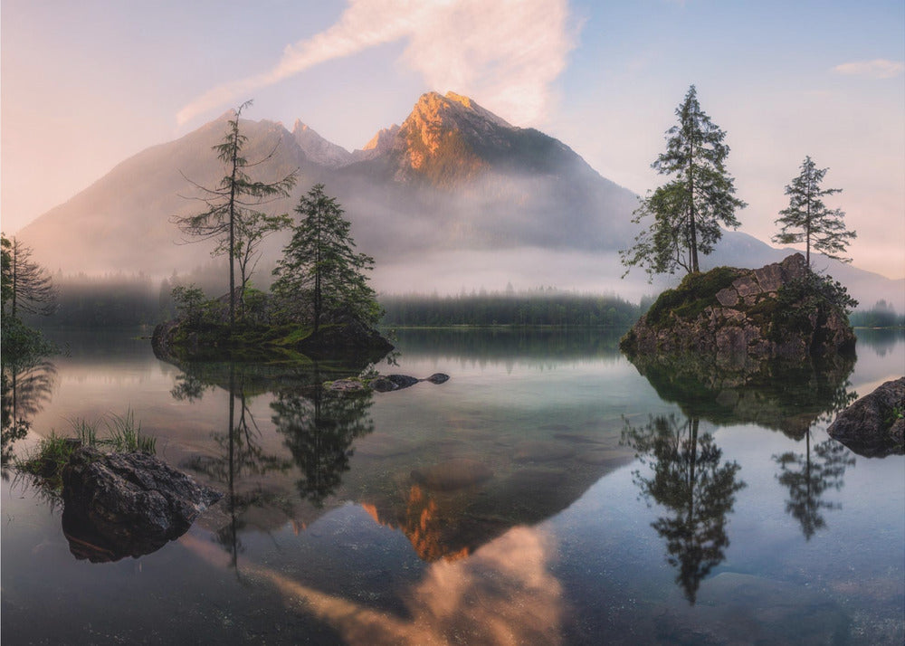 Het ontwaken van de natuur | Fotobehang