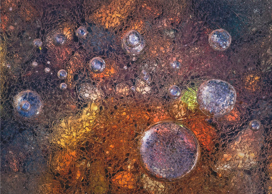 L'hiver avant l'automne | Papier Peint Photo