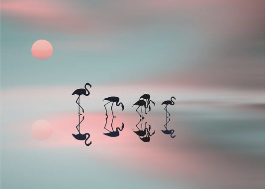 Flamencos en familia. Posters  - Impresiones de Arte