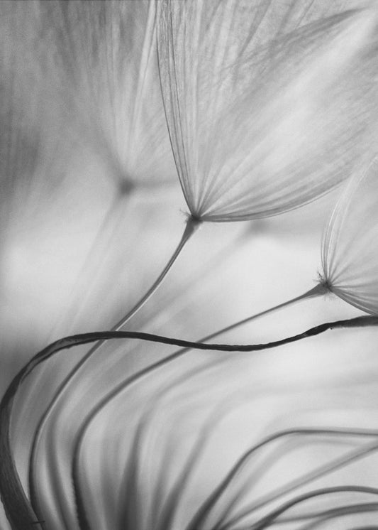 Luta dig mot mig | Canvas