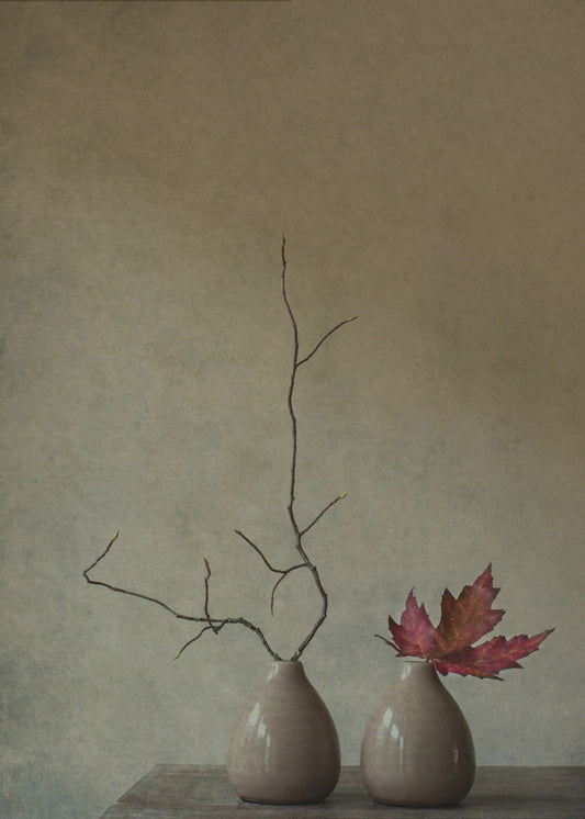 Strange companions | Poster
