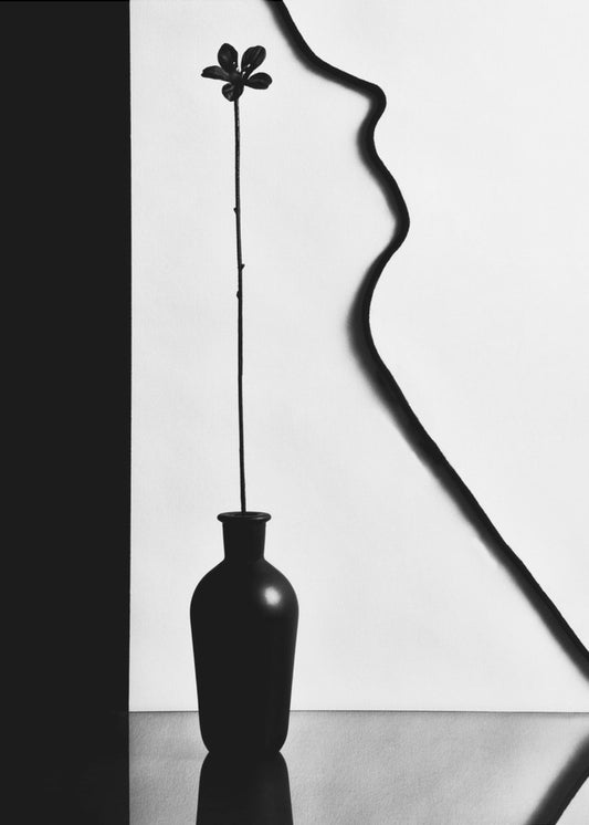 Namnlös | Canvas