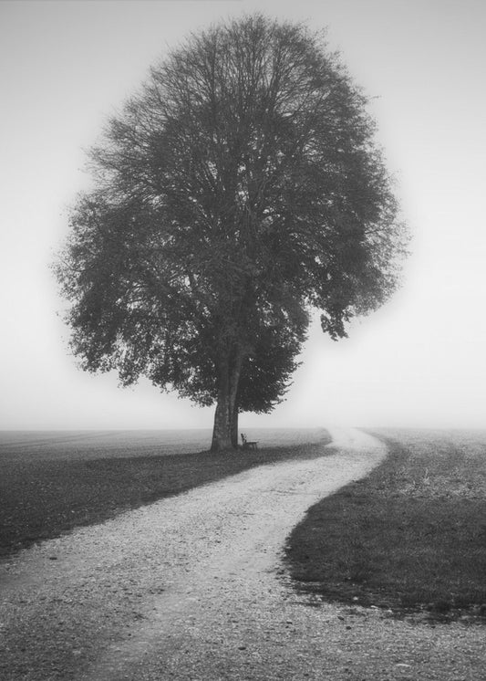Dichter | Canvasprints