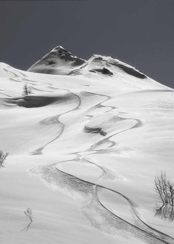 freeride | Impresiones en Lienzo