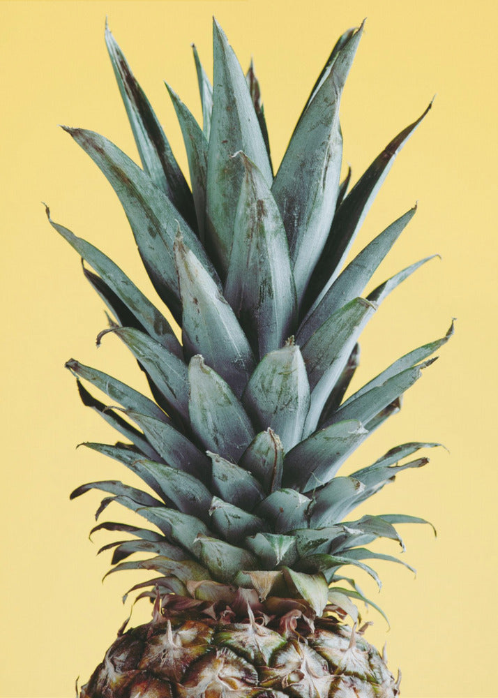 Ananas Gul 01 | Plakater - Kunsttryk
