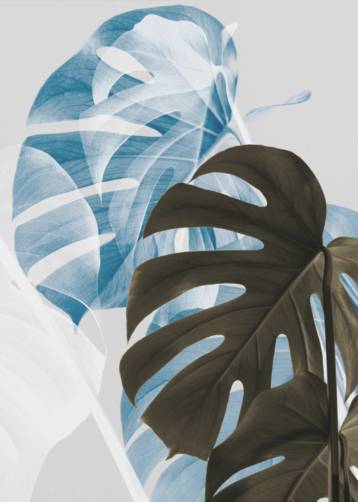 Monstera Creative 02 | Canvasprints