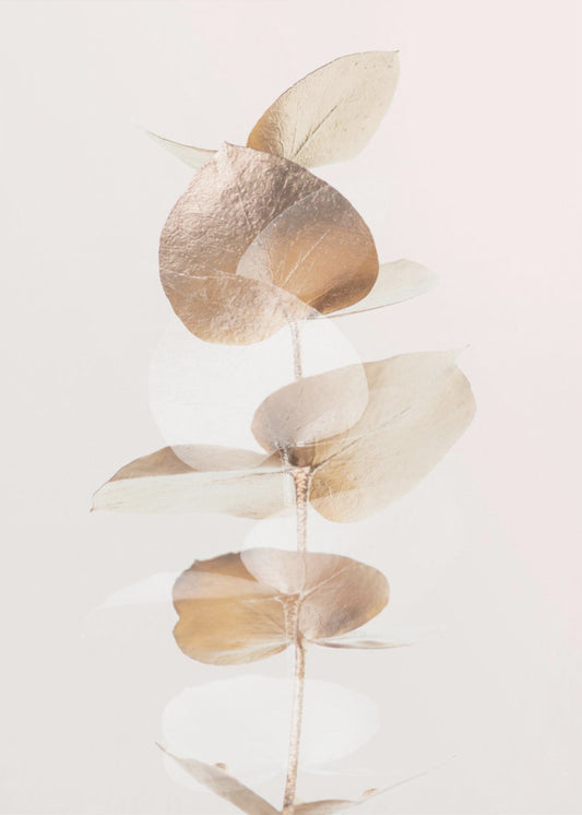 Eukalyptus Kreativ Guld 04 | Canvas