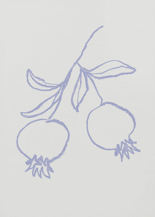 Pomegranate Lilac | Poster