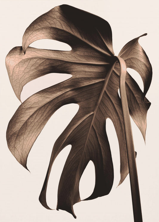 Monstera Guld | Lærredsbilleder