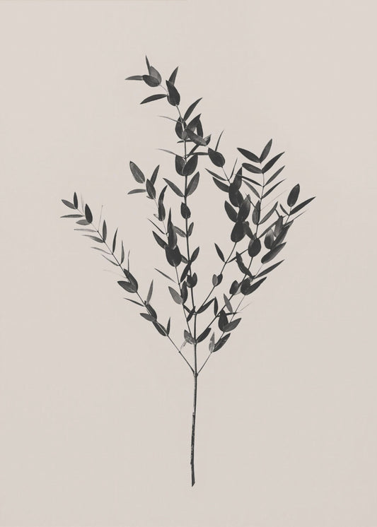 Atramentowy Botaniczny | Plakaty - Wydruki Artystyczne