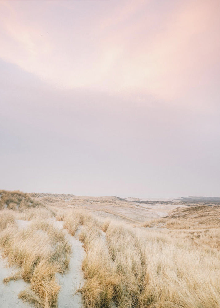 Ameland Dünen 1 | Leinwand-Bilder