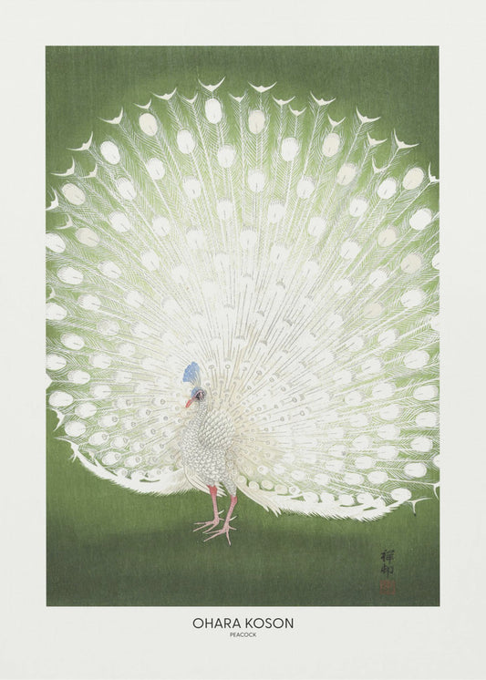 Pavo real - Recortado | Impresiones en Lienzo