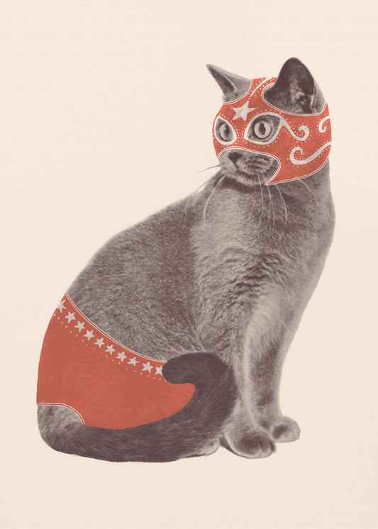 Kattbrottare | Canvas