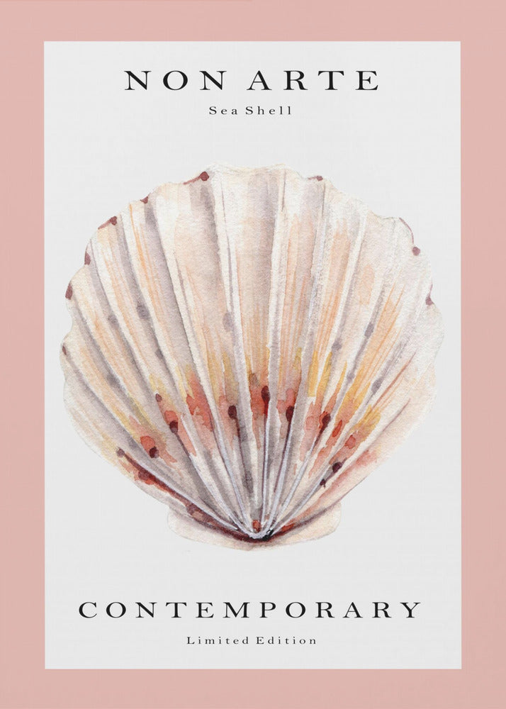 Non Arte Sea Shell no.2 | Stampe su Tela