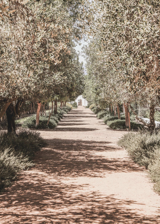Secret Garden | Canvas