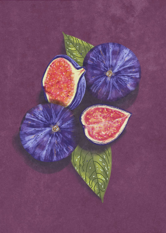 Figs Stil Life | Canvas
