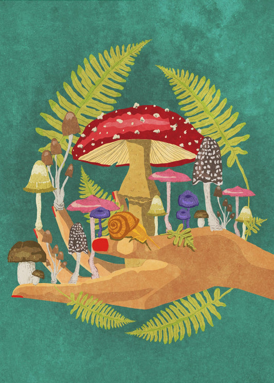 My Mushroom Cosmos | Canvas