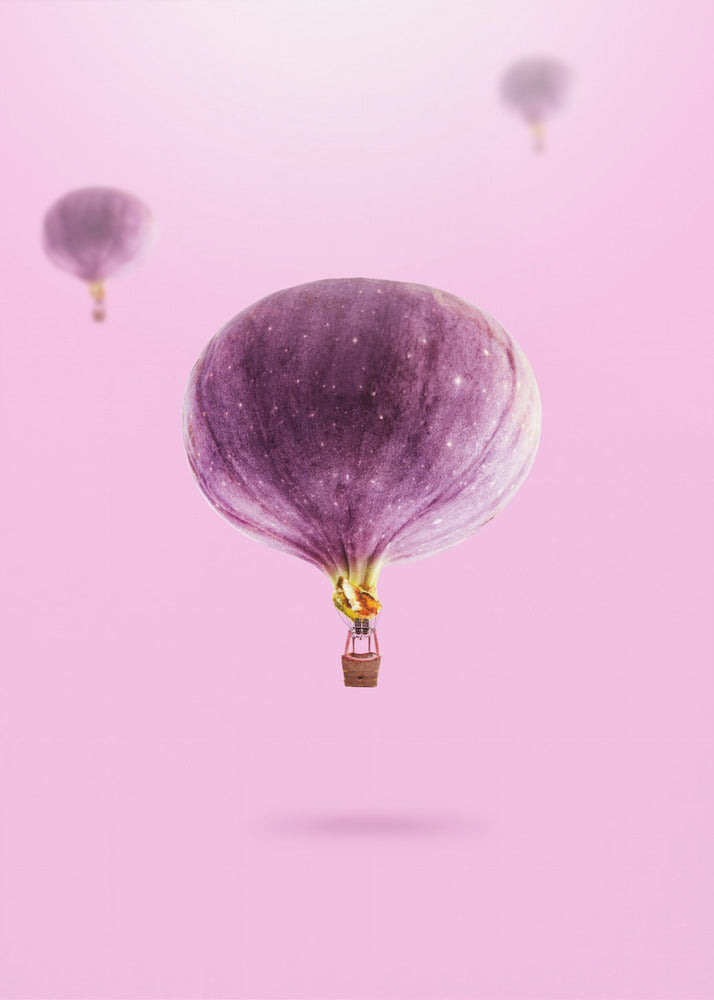 Figner Balloner | Plakater - Kunsttryk