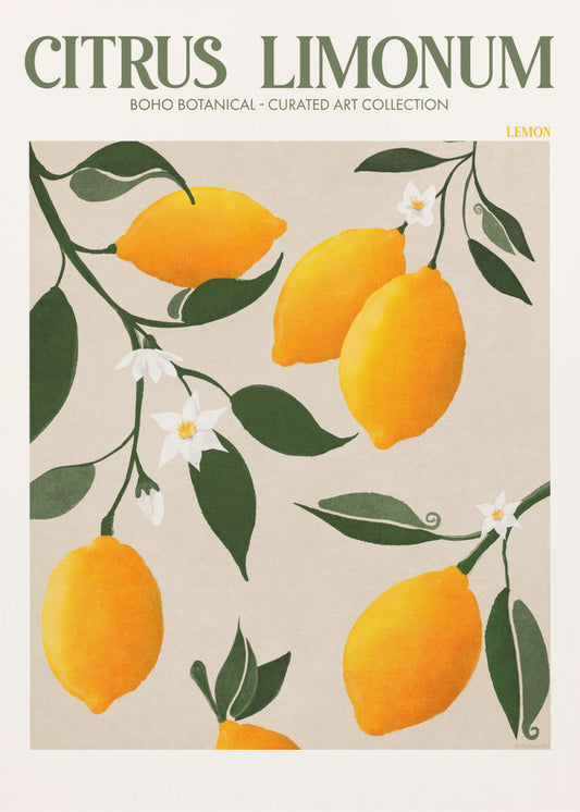 Citrus Limonum - Limone | Stampe su Tela