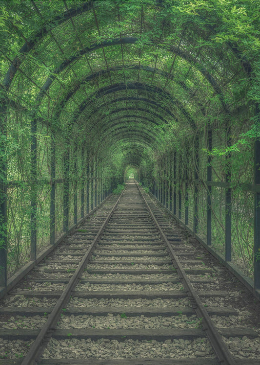 Gröna tunneln | Canvas