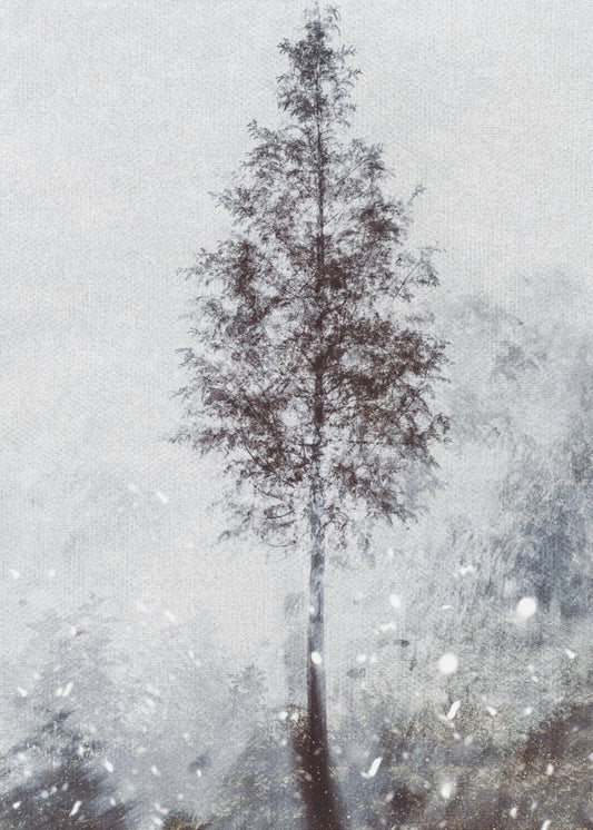 Vävda naturliga drömmar | Canvas