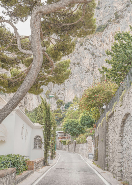 Streets of Capri | Canvas